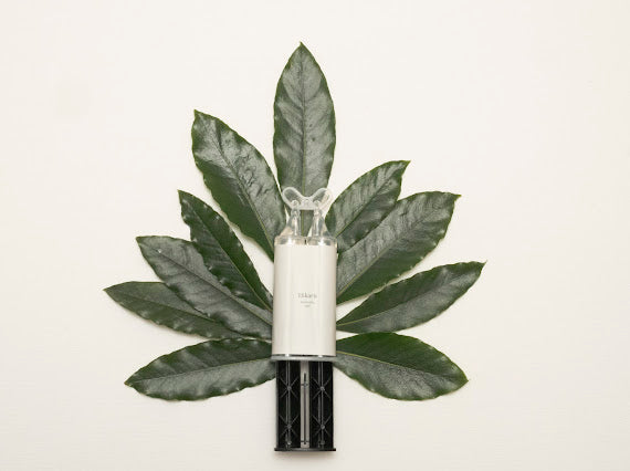 Epoxy Glue Refill (for Kintsugi Kit)